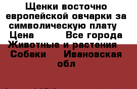 Щенки восточно европейской овчарки за символическую плату › Цена ­ 250 - Все города Животные и растения » Собаки   . Ивановская обл.